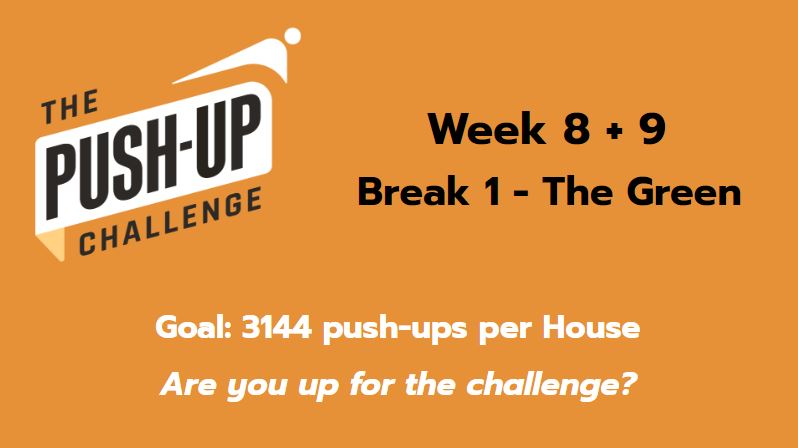 Push-up-challenge.JPG