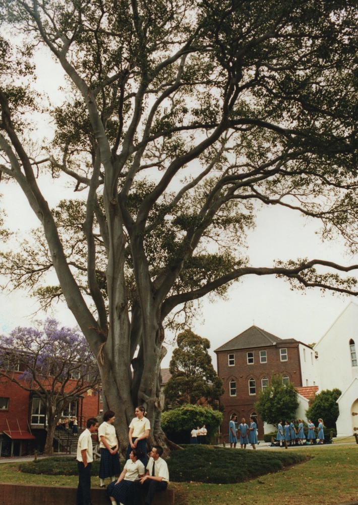 Senior students 3 with fig tree early 2000s_thumb.jpg